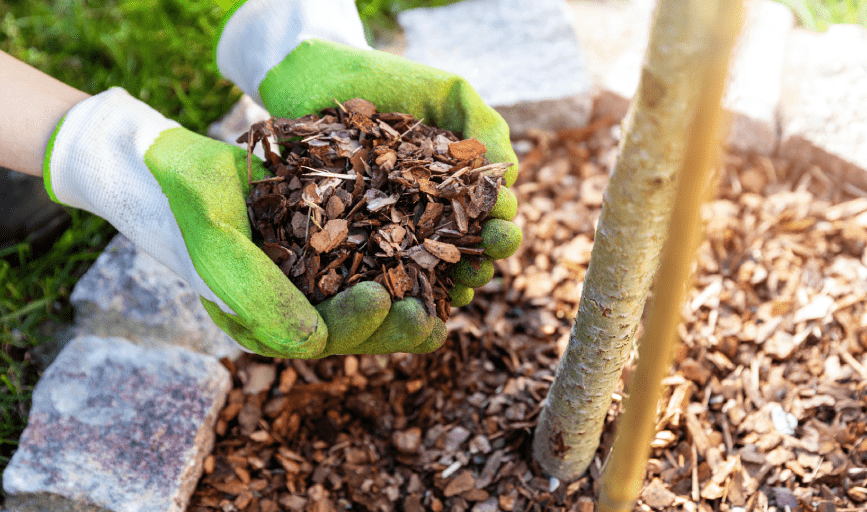 MULCHING SERVICES